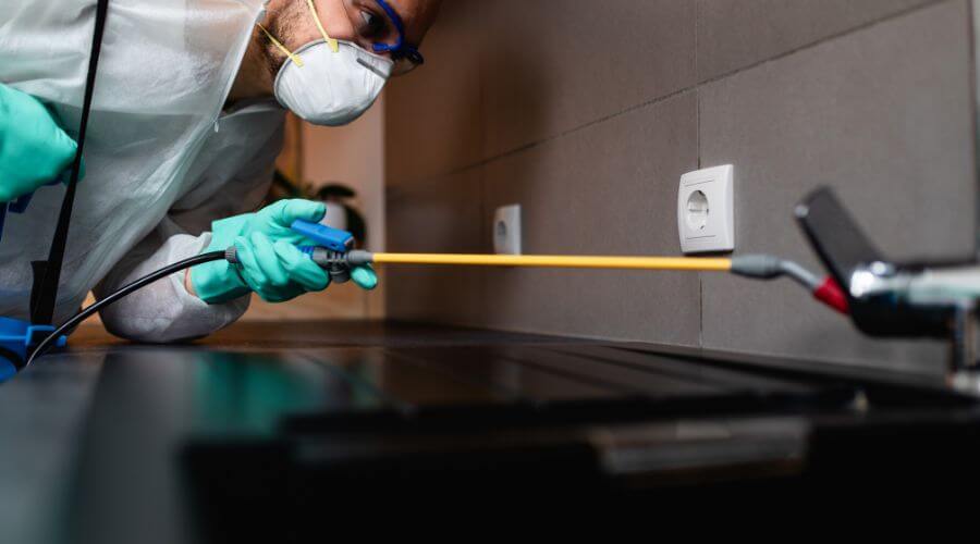 Why choose Fullerton Pest Pros for pest control in Fullerton